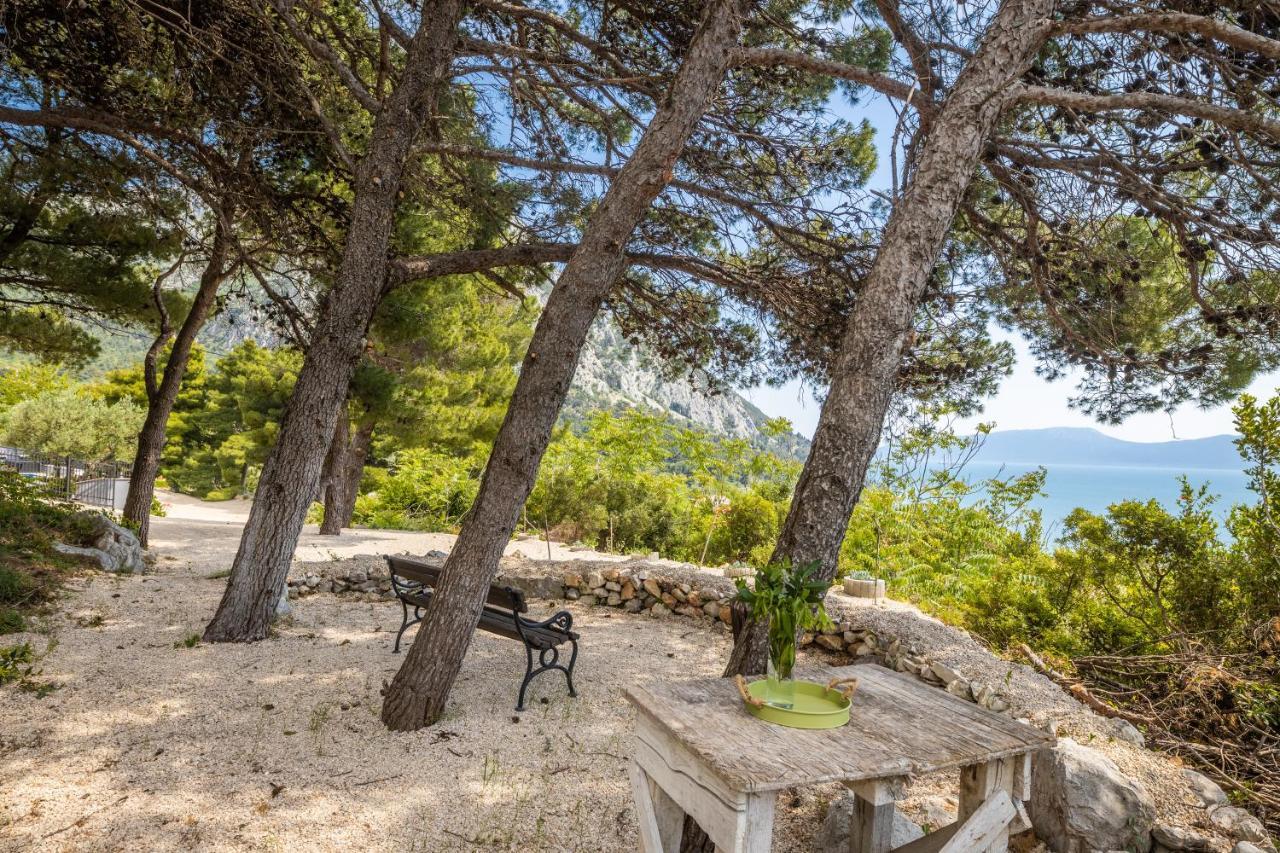 Villa Unique Gradac  Luaran gambar